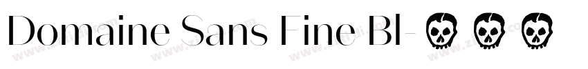 Domaine Sans Fine Bl字体转换